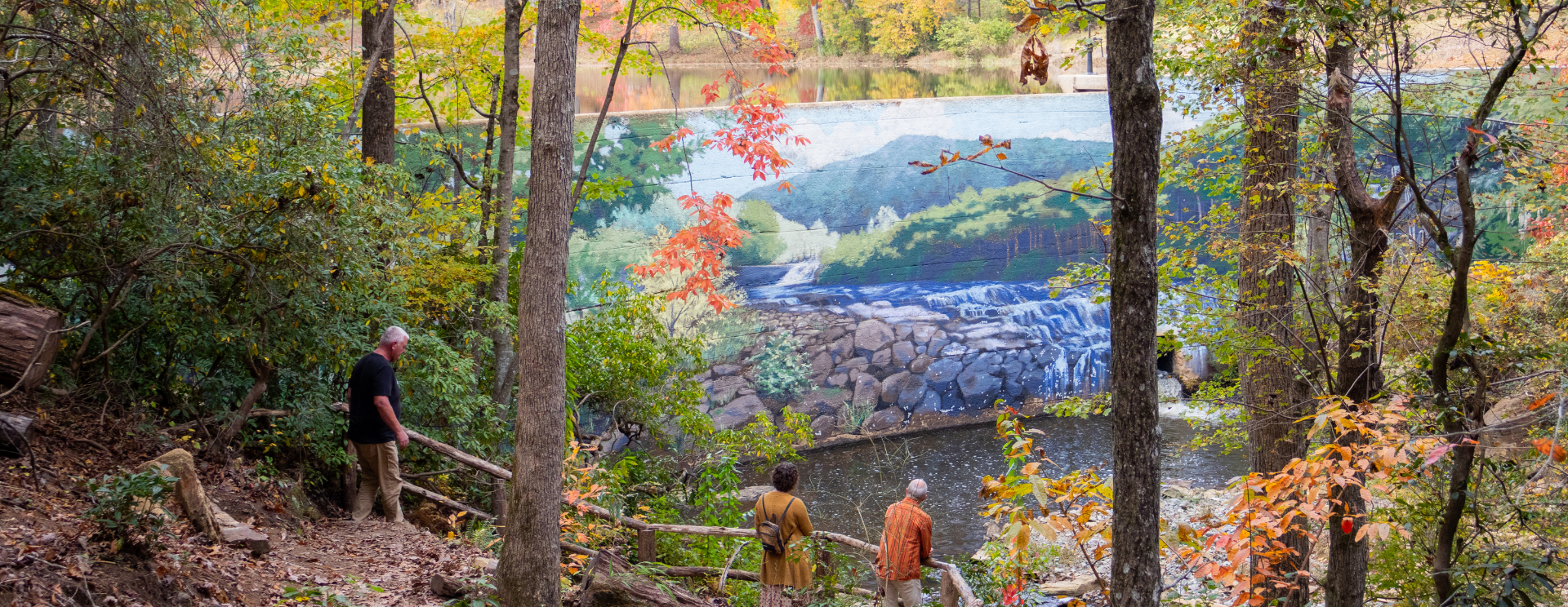 Slow Hikers Club at Forest Bathing Trail in Elkin